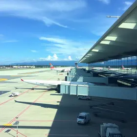 terminal companhias aeroporto guarulhos